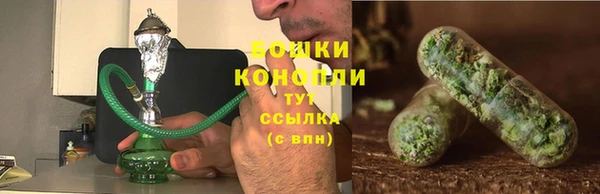 индика Богданович